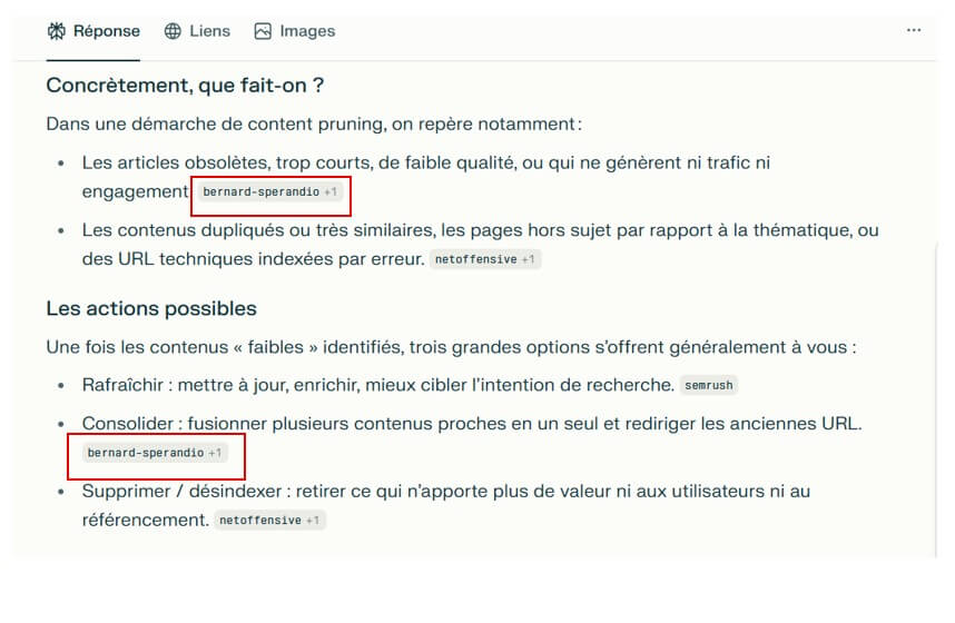 Citation de Bernard Sperandio dans le moteur génératif Perplexity